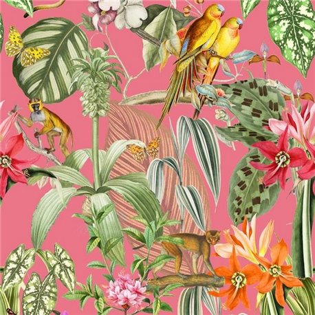 Parrots Rosa 9900003 Parrots Rosa 9900003