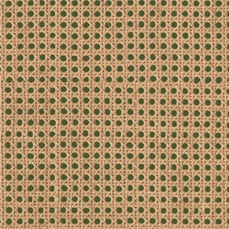 Raffias 9800007 Raffias 9800007