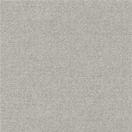 Raffias 9800031 Raffias 9800031