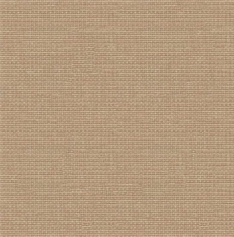 Raffias 9800062 Raffias 9800062