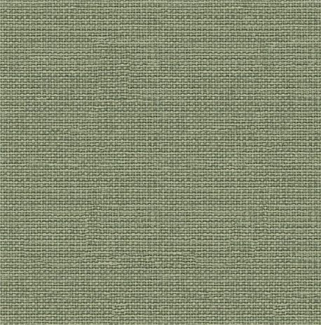 Raffias 9800063 Raffias 9800063