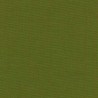Canvas 2 C0954