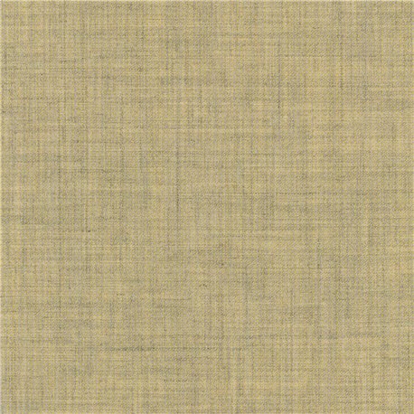 Clara 2 C0423 Clara 2 C0423