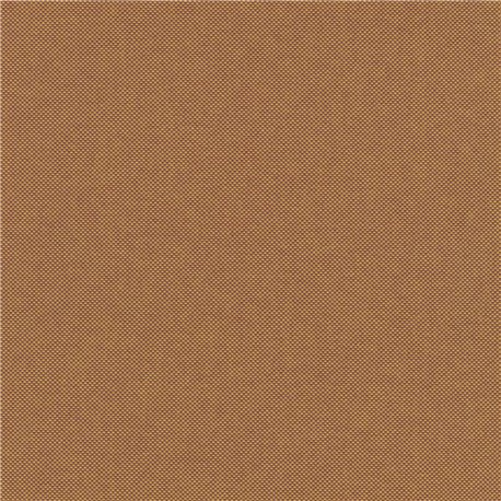 Field 2 C0443