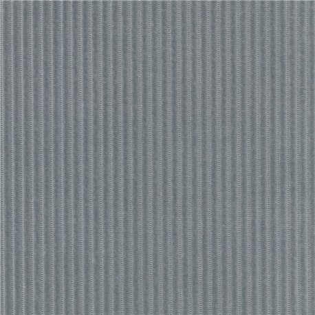 Phlox C0133 Phlox C0133