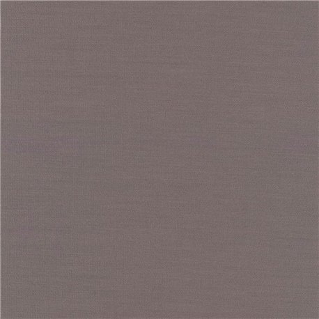 Planum C0241 Planum C0241
