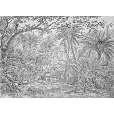 BORNEO GRAPHITE BORNEO GRAPHITE