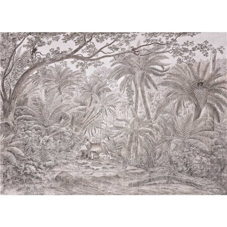 BORNEO TOPO BORNEO TOPO