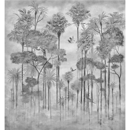 BRASILIAN GRAPHITE BRASILIAN GRAPHITE
