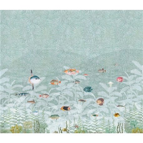 CORALIS TEAL CORALIS TEAL