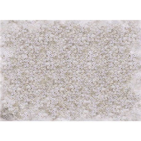 FIORI IVORY FIORI IVORY