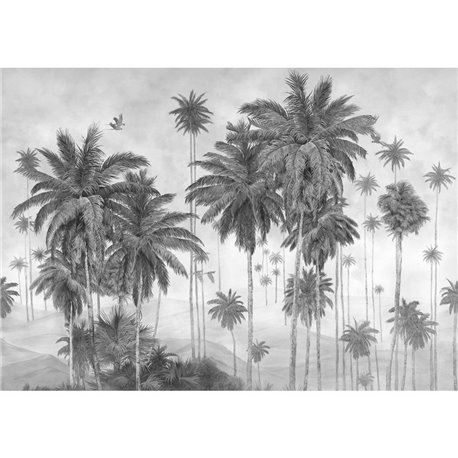 SABBA GRAPHITE SABBA GRAPHITE