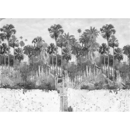 TAHITÍ GRAPHITE TAHITÍ GRAPHITE