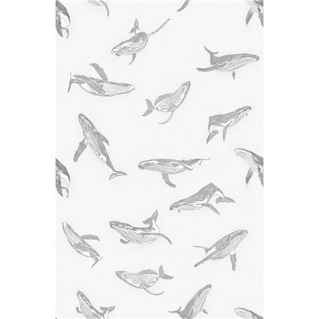 BALENE GRAPHITE BALENE GRAPHITE