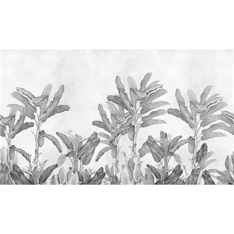 BANATIAN GRAPHITE BANATIAN GRAPHITE