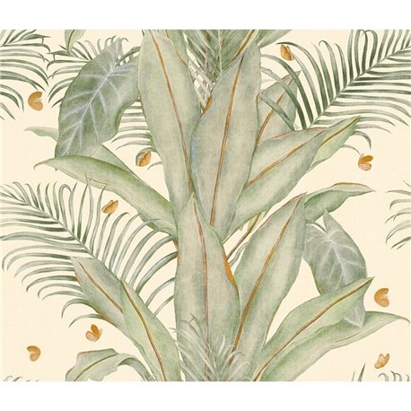 BUTTERFLY OLIVE BUTTERFLY OLIVE
