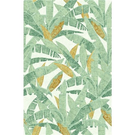MUSA GREEN MUSA GREEN