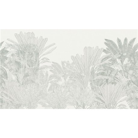 SELVATIA TEAL SELVATIA TEAL