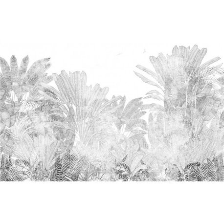 TROPICALIS GRAPHITE TROPICALIS GRAPHITE