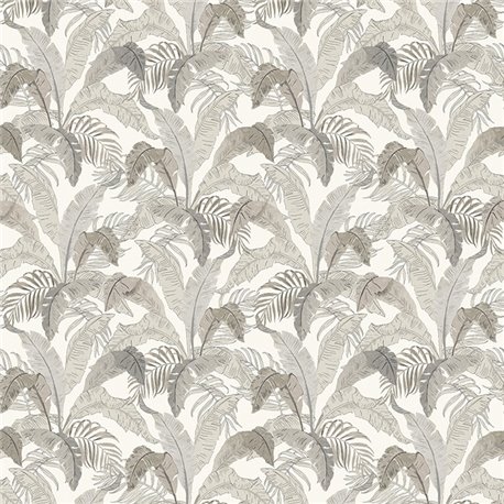 Botanic Midnight lot002 Botanic Midnight lot002