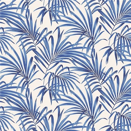 Palm Cobalt lot106 Palm Cobalt lot106