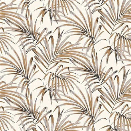 Palm Ginger lot107 Palm Ginger lot107