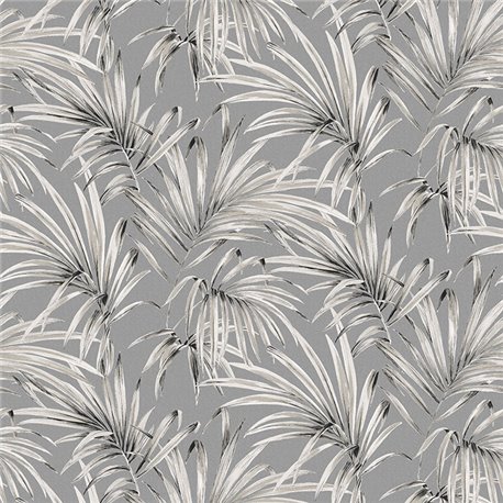 Palm Midnight lot102 Palm Midnight lot102