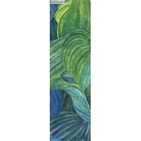 Hosta Aqua DG2HOS1014 Hosta Aqua DG2HOS1014
