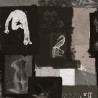 Le Studio Dark WP20603