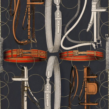 Equestrian Equipment Dark Wp20632
