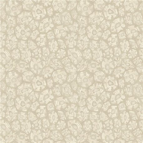 Savanna Shell 119-4021 Savanna Shell 119-4021