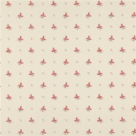 Ashling Pink 07406-04