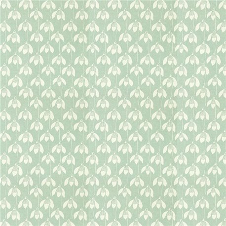 Snowdrop Sage NART112801