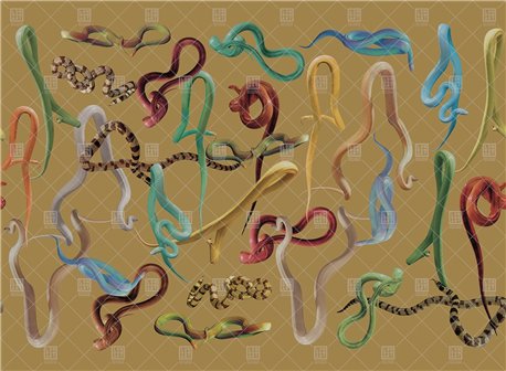 Carta da Parati SNAKES STORM 01TP-02 - LONDON ART