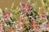 Papel de parede HOLES OF PARADISE 03TP-02 - LONDON ART