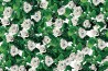 Papier peint EYES & ROSES 11TP-02 - LONDON ART