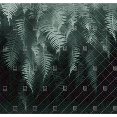The breath of ferns 18517-2 The breath of ferns 18517-2