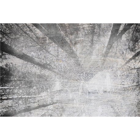 FROM BELOW 01 FROM BELOW 01