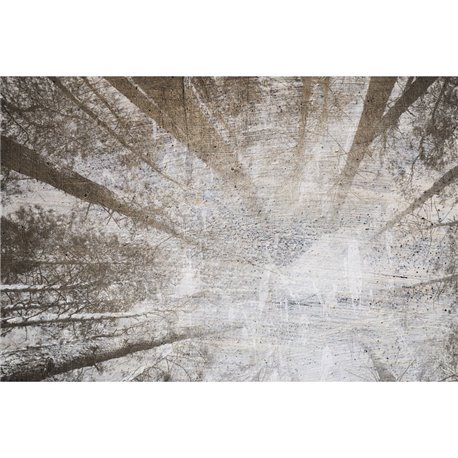 FROM BELOW 02 FROM BELOW 02