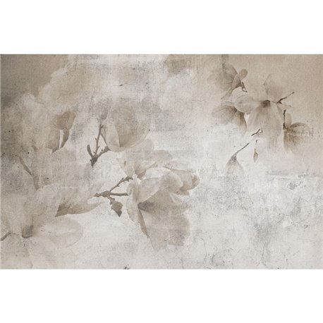 MAGNOLIA MAGNOLIA
