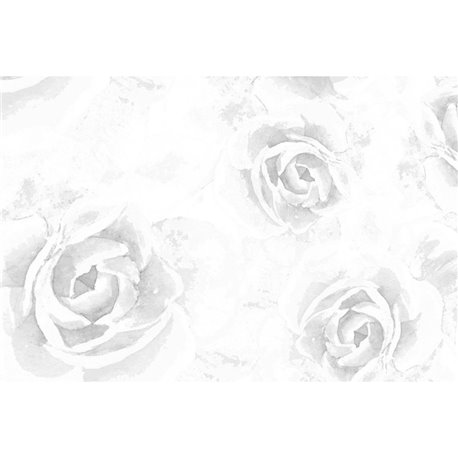 ROMANTICA 02 ROMANTICA 02