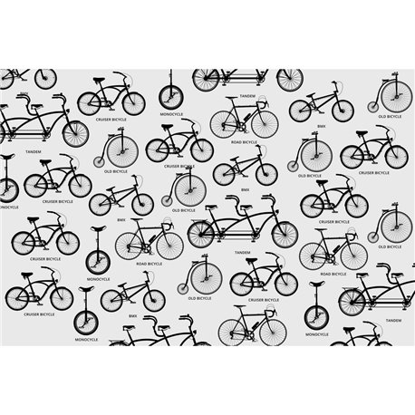 BICYCLE 01 BICYCLE 01