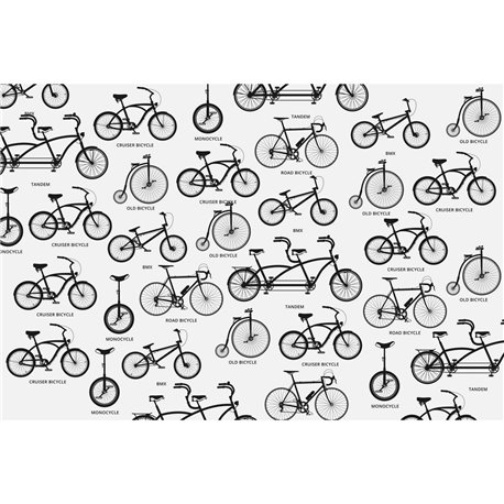 BICYCLE 02 BICYCLE 02
