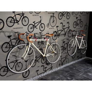 BICYCLE 02