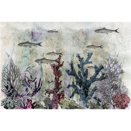 CORAL 01 CORAL 01