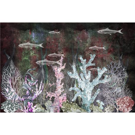 CORAL 02 CORAL 02