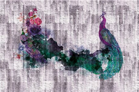 PEACOCK 02