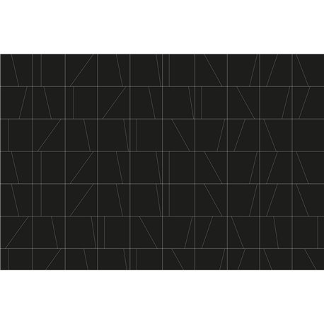 PRECISE 01 PRECISE 01
