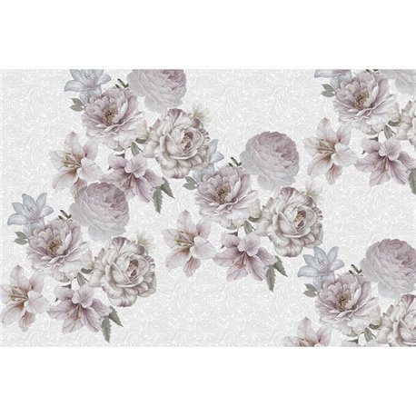 ROSE BIANCHE 01 ROSE BIANCHE 01