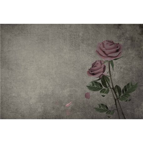 ROSES 01 ROSES 01